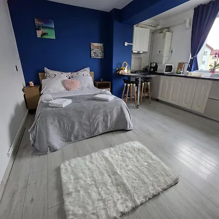 Self Check-in 22 Bulevardul Oltenia * 克拉奥华