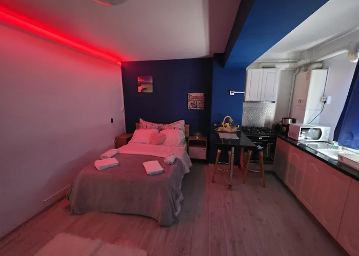 公寓 Self Check-in 22 Bulevardul Oltenia 克拉奥华